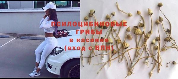 СК Зерноград
