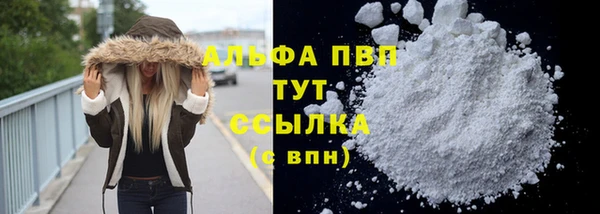 СК Зерноград