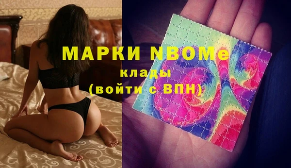 СК Зерноград