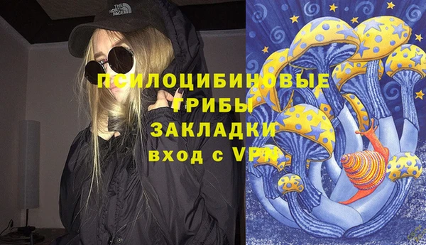 соль ск Зеленокумск