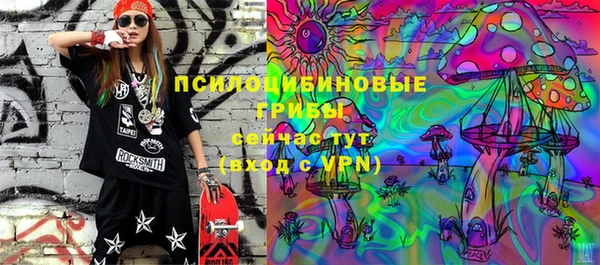 СК Зерноград